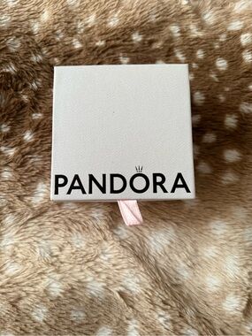 pandora bracelet